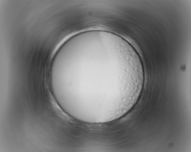 X0000111681000200908281131