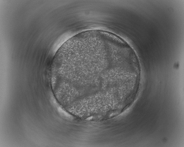 X0000111681001200908281131