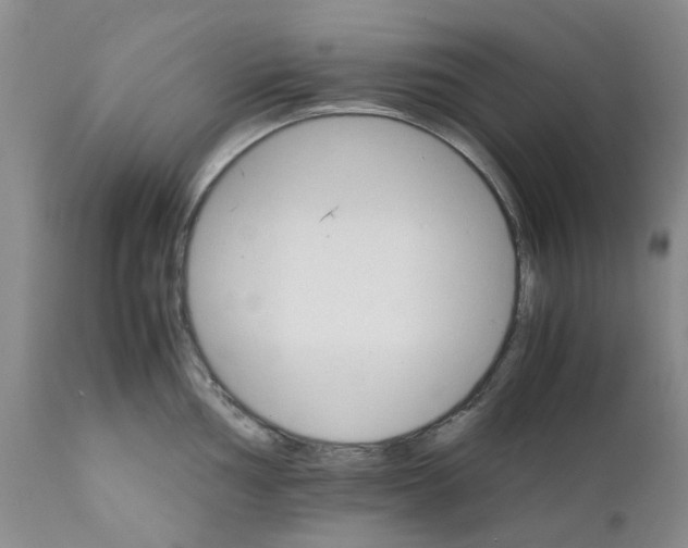 X0000111681002200908281131