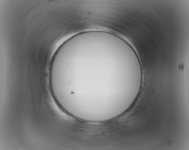 X0000111681003200908281131