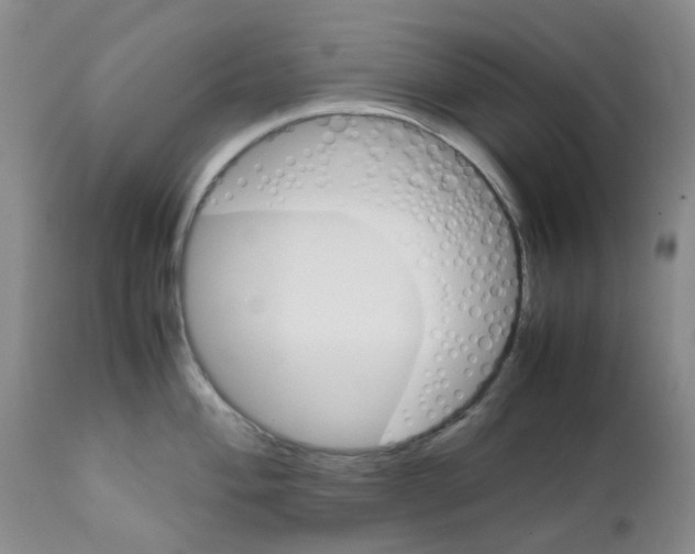 X0000111681004200908281131