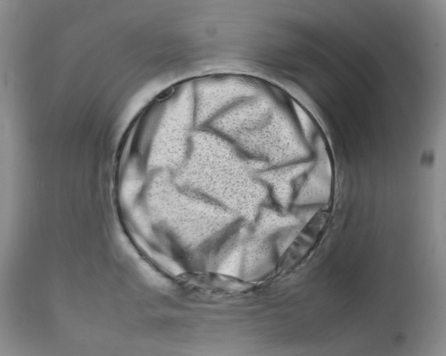 X0000111681005200908281131