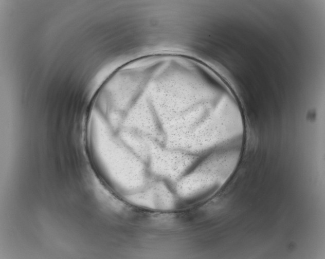 X0000111681006200908281131