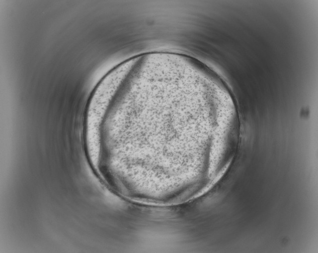 X0000111681007200908281131