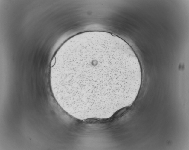 X0000111681008200908281131