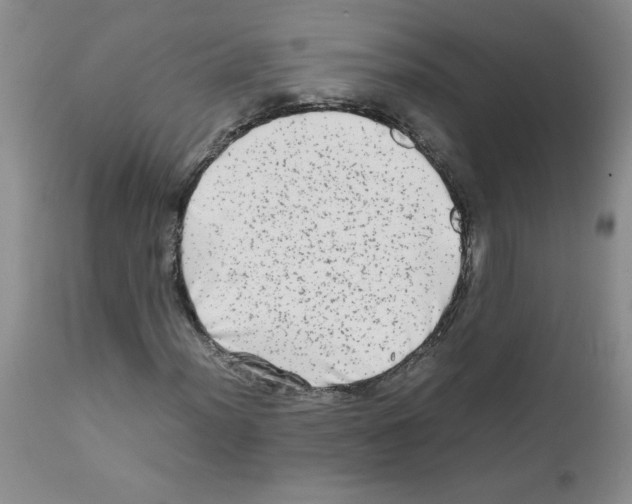 X0000111681012200908281130