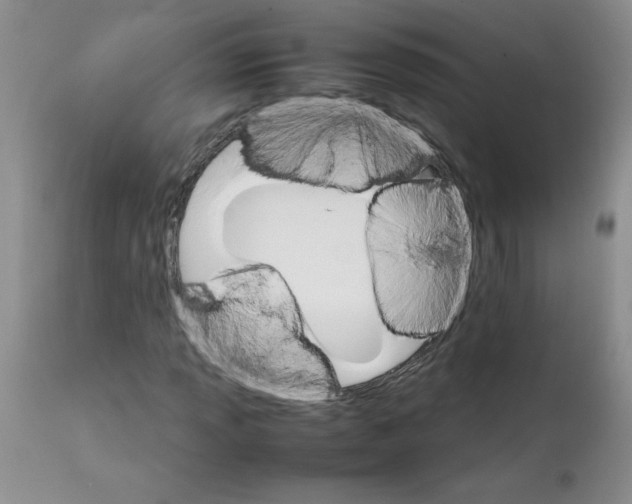 X0000111681013200908281130