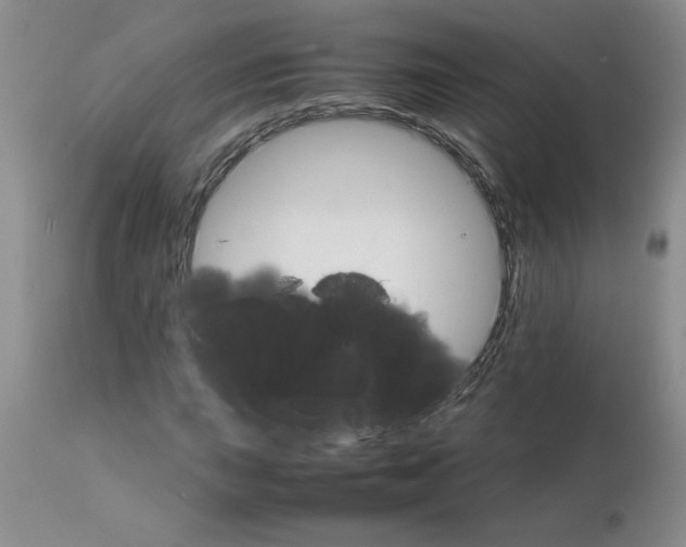 X0000111681015200908281130