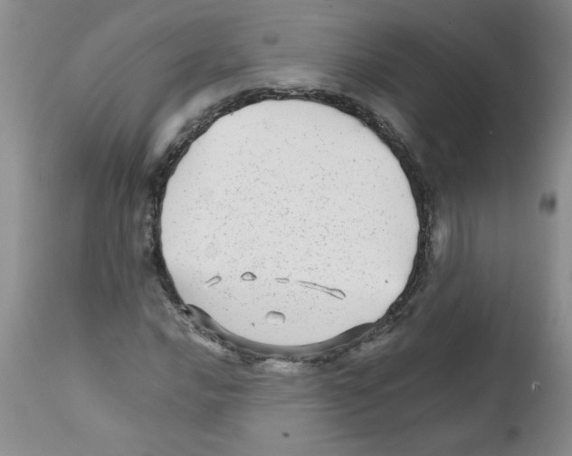 X0000111681016200908281130