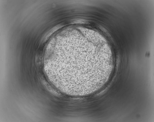 X0000111681017200908281130