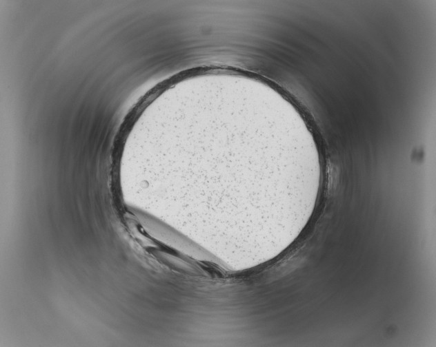 X0000111681020200908281130