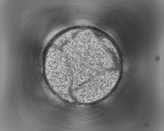 X0000111681022200908281130