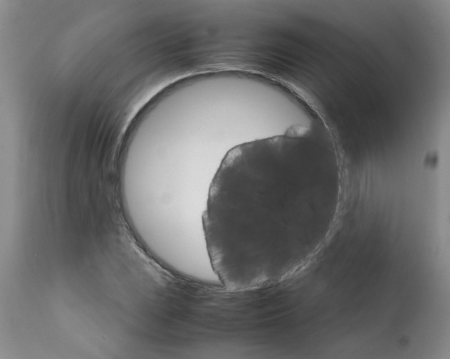 X0000111681023200908281130