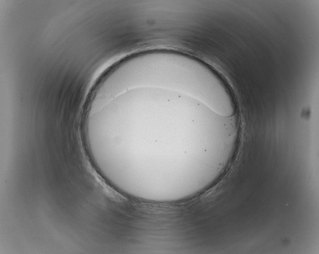 X0000111681024200908281130