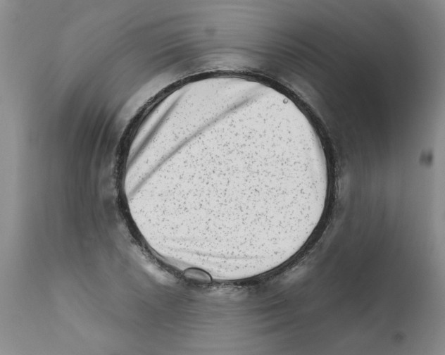 X0000111681026200908281130