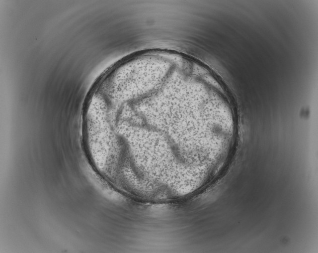 X0000111681028200908281130