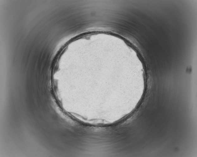 X0000111681030200908281130