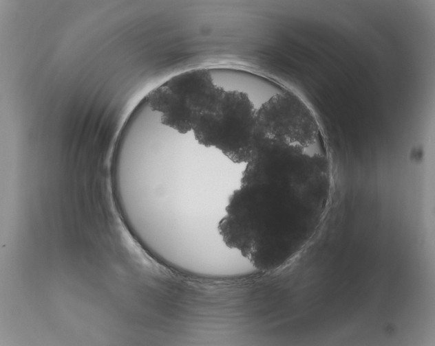 X0000111681032200908281130