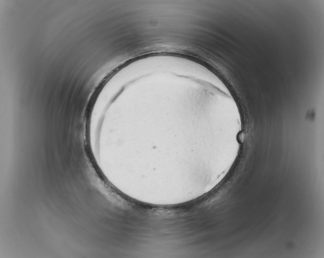 X0000111681034200908281130