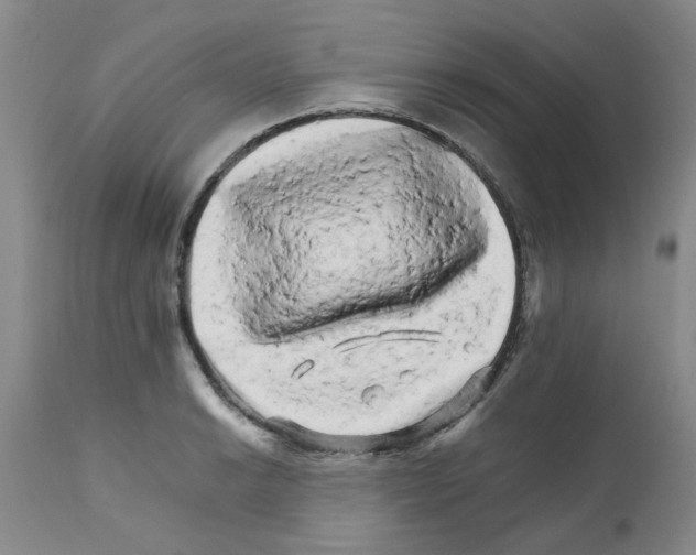 X0000111681038200908281131