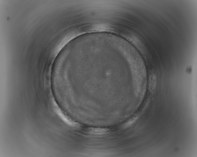 X0000111681039200908281131