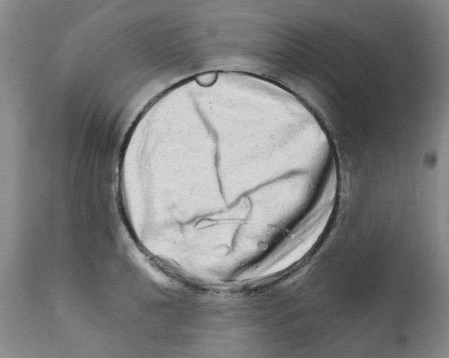 X0000111681040200908281131