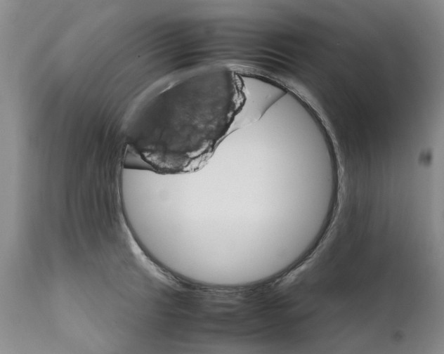 X0000111681041200908281131