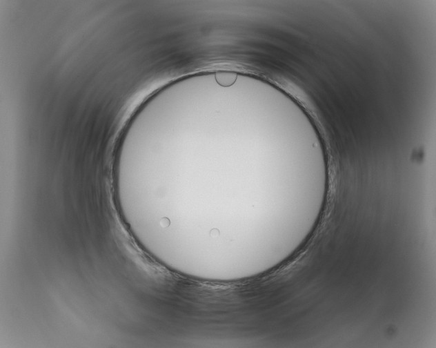 X0000111681043200908281131