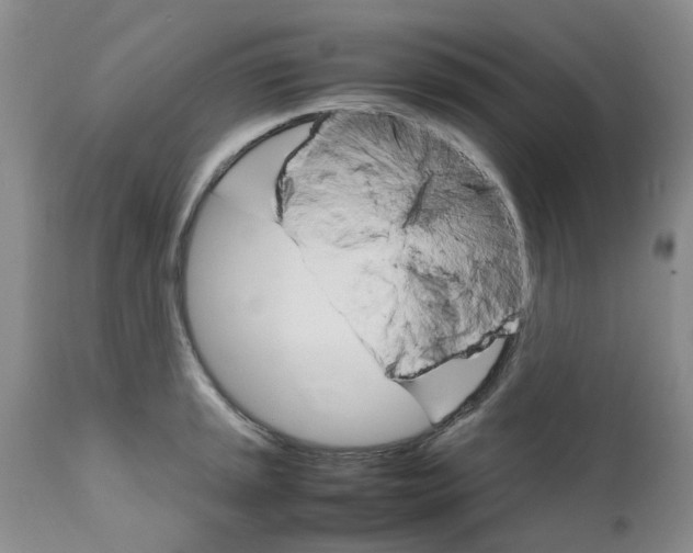 X0000111681045200908281131