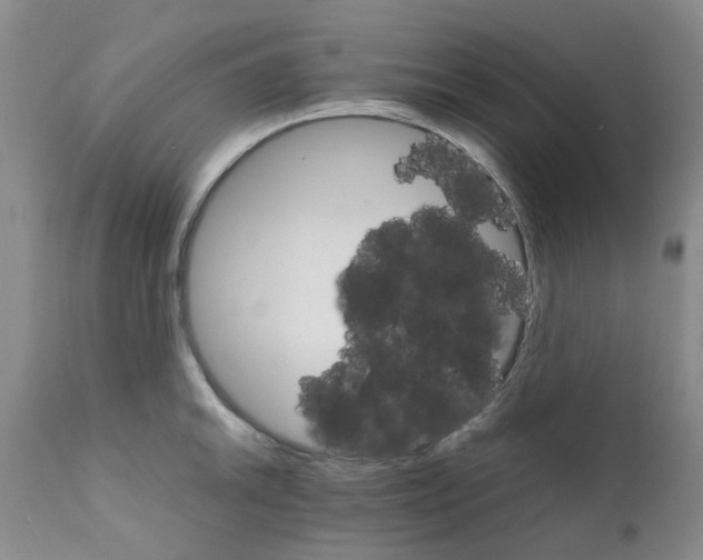 X0000111681046200908281131