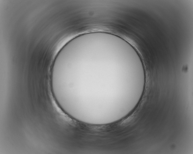 X0000111681047200908281131