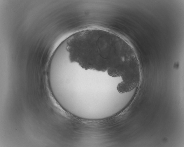 X0000111681048200908281131