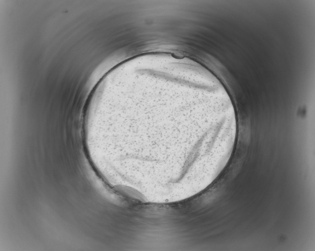 X0000111681050200908281131