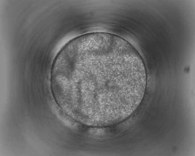 X0000111681051200908281131