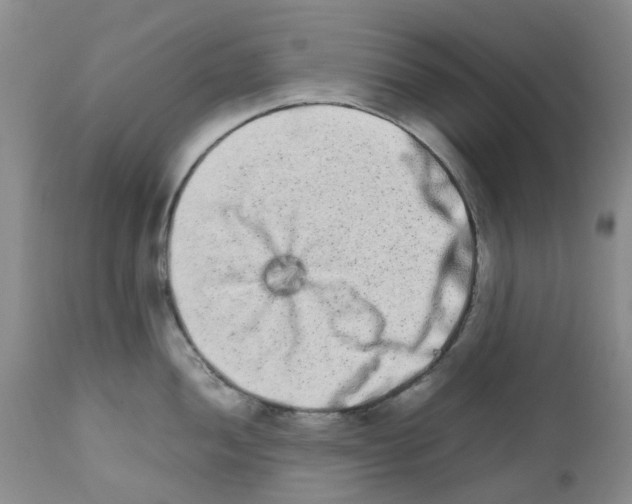 X0000111681052200908281131