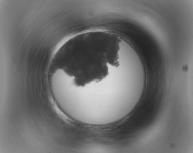 X0000111681054200908281131