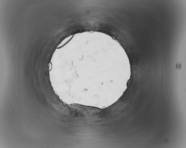 X0000111681057200908281130