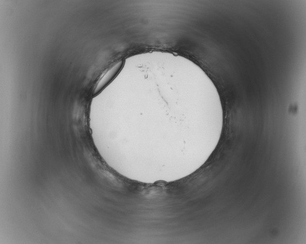 X0000111681058200908281130