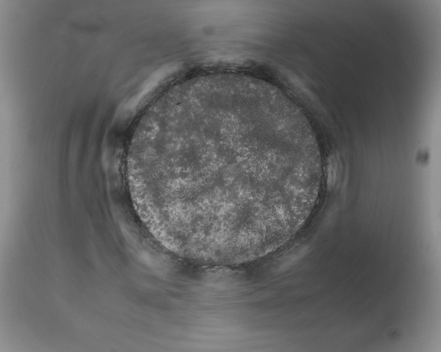 X0000111681059200908281130