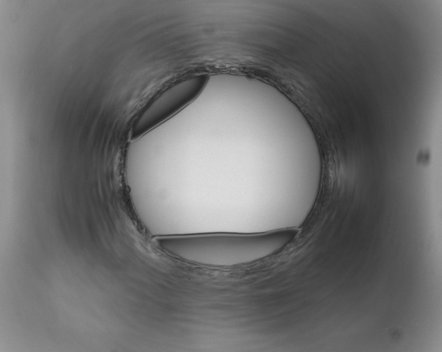 X0000111681060200908281130