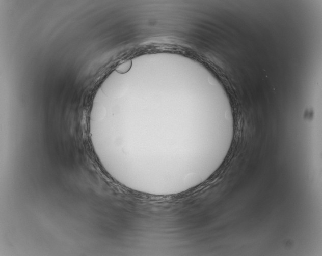 X0000111681062200908281130