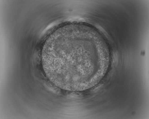 X0000111681063200908281130