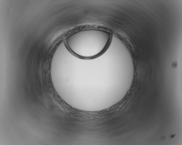 X0000111681064200908281130