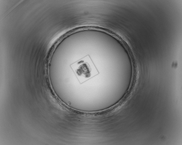 X0000111681069200908281130