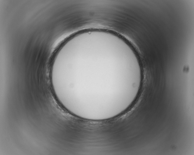 X0000111681070200908281130