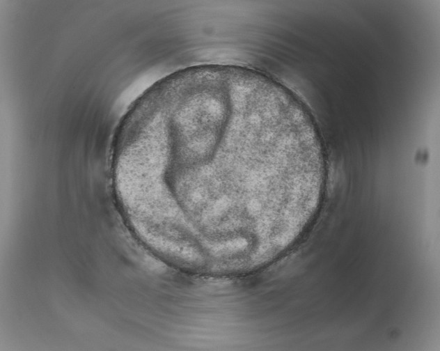 X0000111681071200908281130