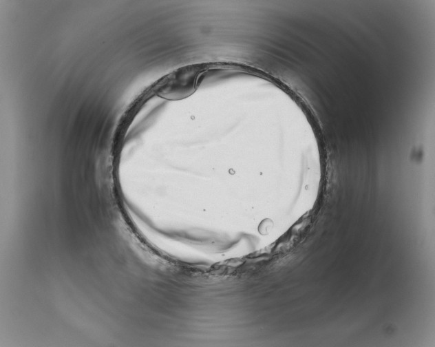 X0000111681072200908281130