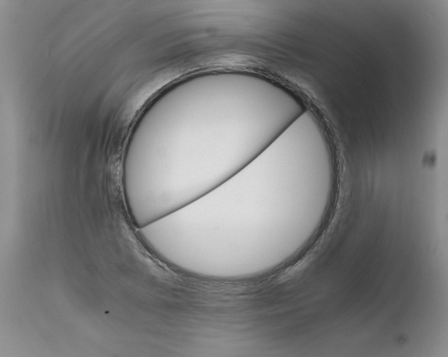 X0000111681073200908281130