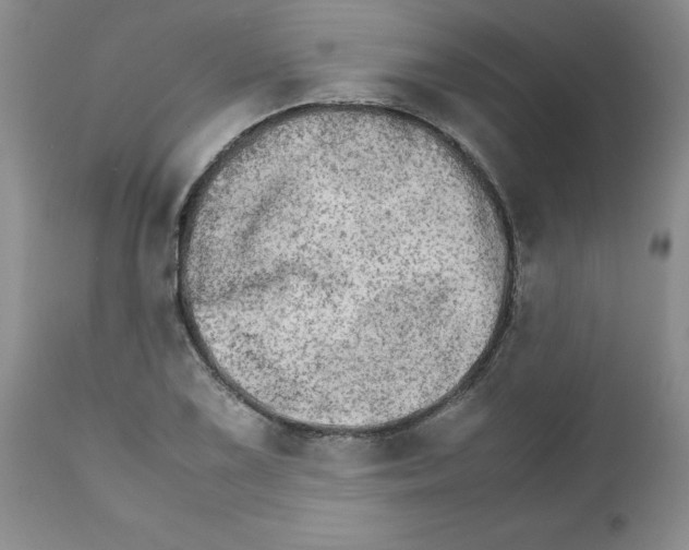 X0000111681075200908281130