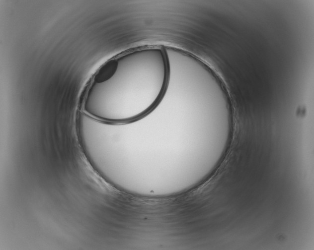 X0000111681076200908281130